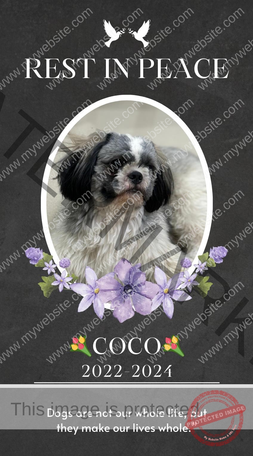 💔 Coco, Missing Shih Tzu dog found dead on Railway Track