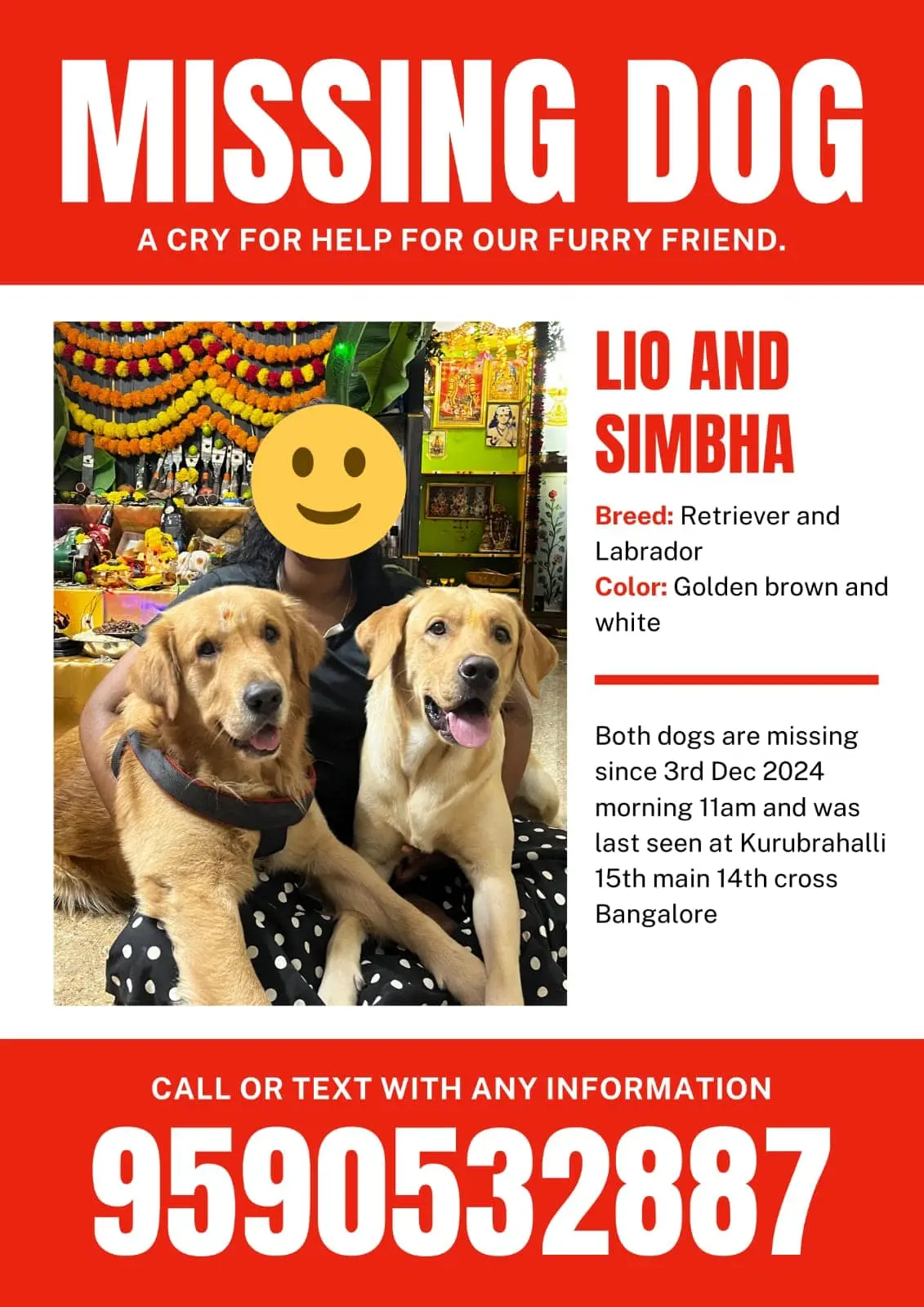 Leo-Simba-2-Labrador-dogs-reunited-in-Bangalore